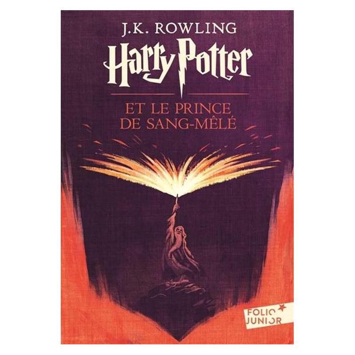 1200x1200 Harry Potter Et le Prince De Sange-Mele #6 - French - Image 1