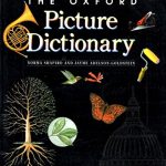 Oxford Picture Dictionary English / Chinese