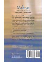 Maltese-English/English-Maltese Dictionary and Phrasebook - Image 2