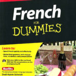 French For Dummies 2E