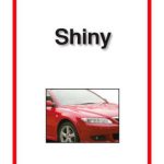 Sound English Level 1 Book 06 - Shiny