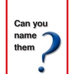 Sound English Level 1 Book 10 - Can You Name Them?