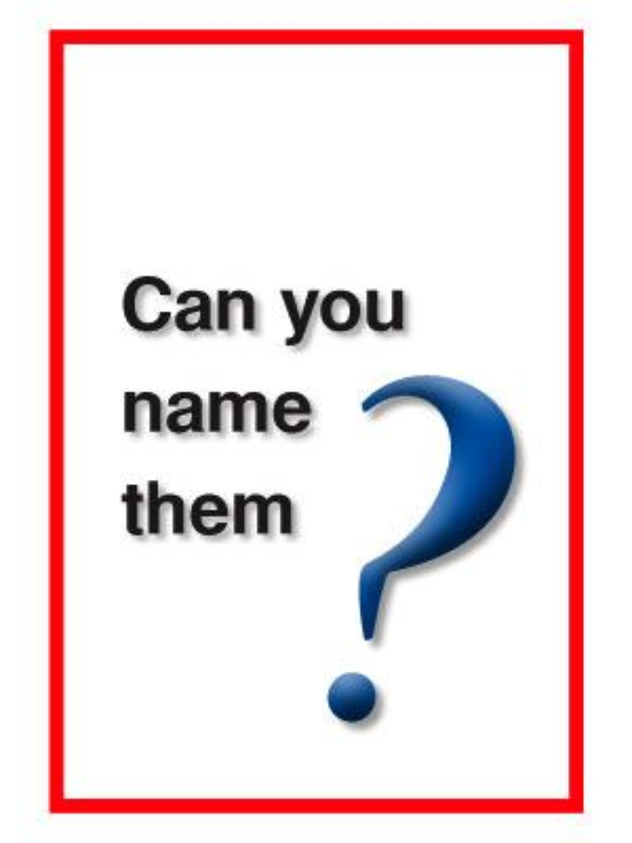 9781921539206(1) Sound English Level 1 Book 10 - Can You Name Them? - Image 1
