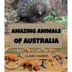 Amazing Animals of Australia