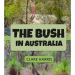 The Bush in  Australia